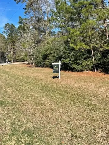 21202 Peach Wood Cleveland TX 77328