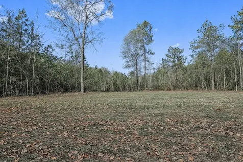 21202 Peach Wood Cleveland TX 77328
