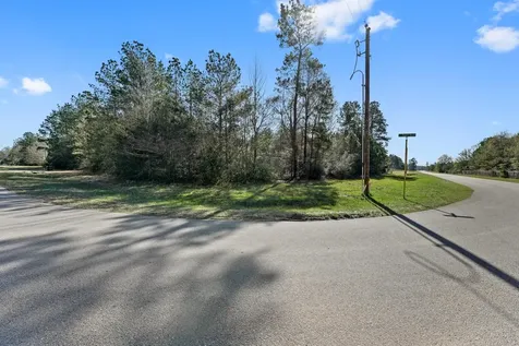 21202 Peach Wood Cleveland TX 77328