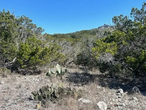 Lot 418 Private Road 1748 Road Mico TX 78023