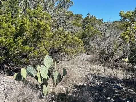 Lot 418 Private Road 1748 Road Mico TX 78023