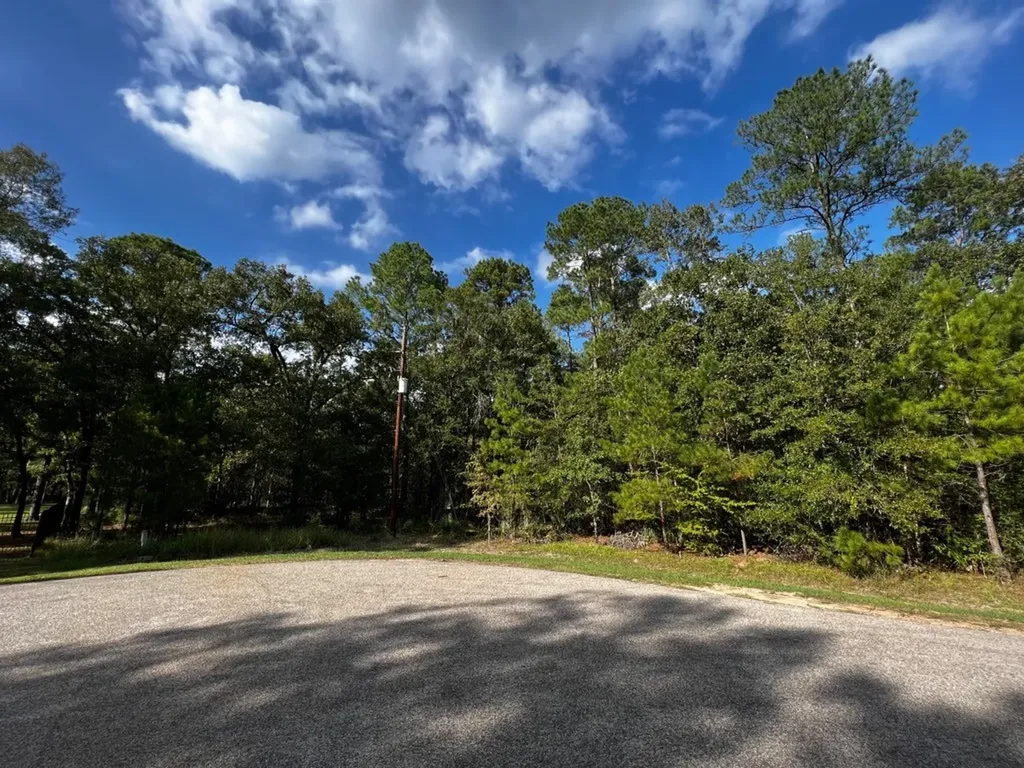 11805 White Oak Pass Conroe TX 77385