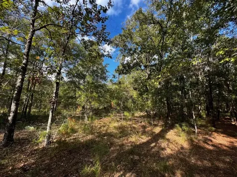 11805 White Oak Pass Conroe TX 77385