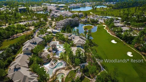 46 N Autumnwood Way The Woodlands TX 77380