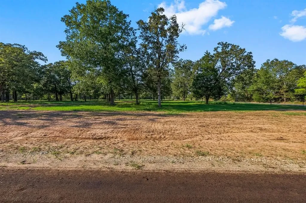 6159 Alans Memorial Lane New Waverly TX 77358