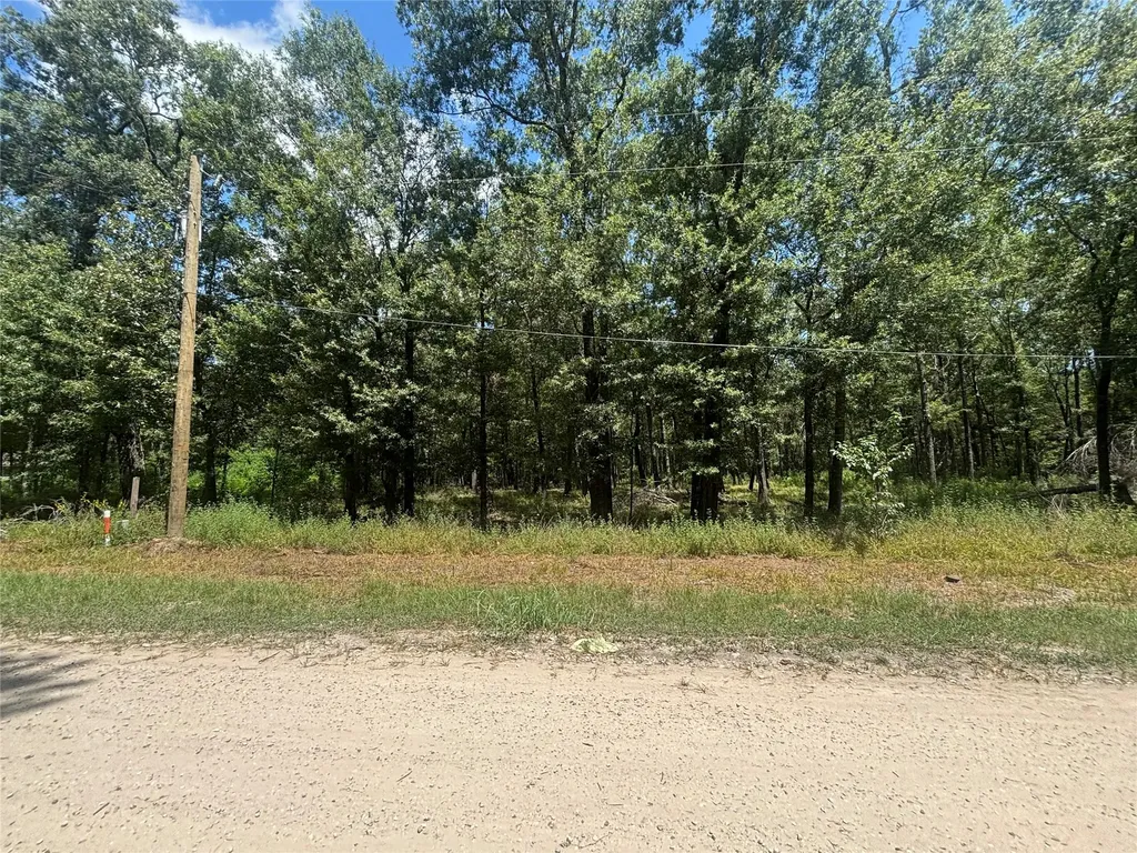 0 San Juan Livingston TX 77351