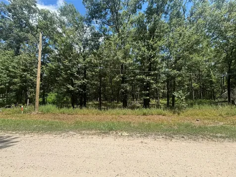 0 San Juan Livingston TX 77351