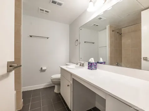 4643 Wild Indigo Street 393 Houston TX 77027