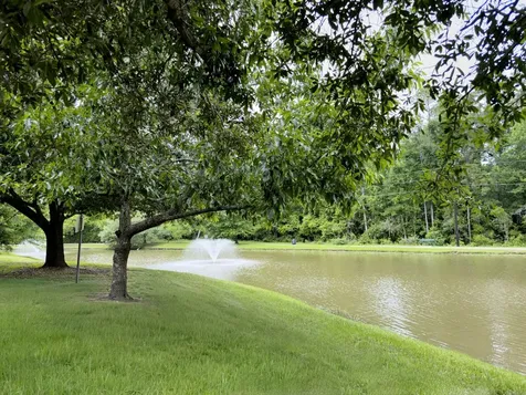 18 Majestic Falls Drive Houston TX 77339