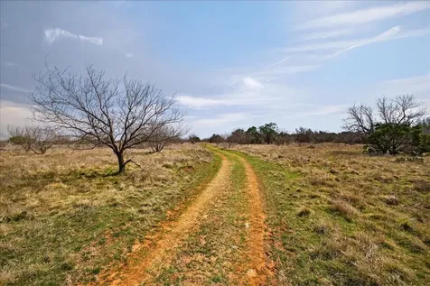 4140 N State Highway 16 Graford TX 76449