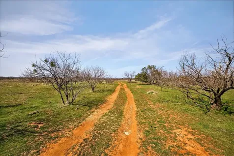 4140 N State Highway 16 Graford TX 76449