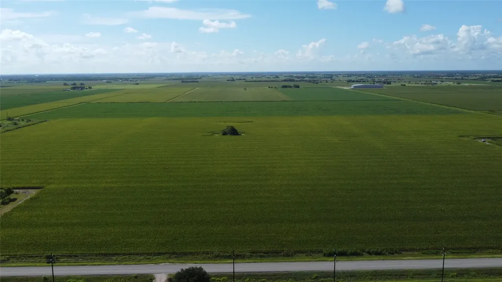 0 Williams School Road Needville TX 77461