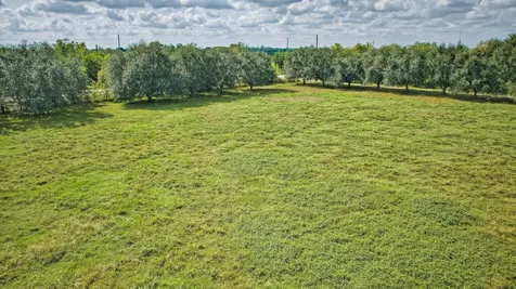 Tbd 2 Fm 1462 Road Damon TX 77430