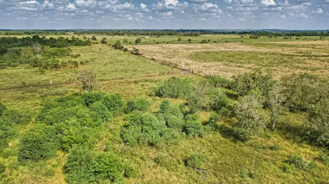 Tbd 2 Fm 1462 Road Damon TX 77430