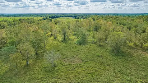 Tbd 2 Fm 1462 Road Damon TX 77430