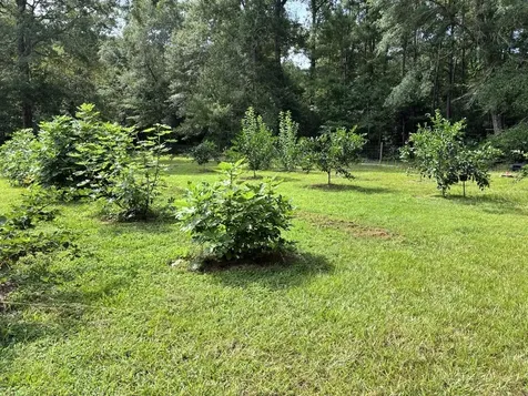 10654 Bevil Boulevard Lumberton TX 77625