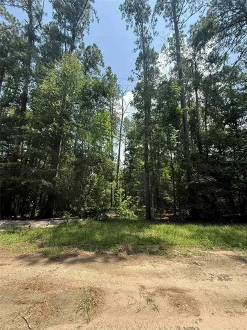220 W Lake Shore Drive Livingston TX 77351
