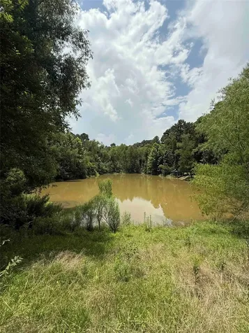 220 W Lake Shore Drive Livingston TX 77351