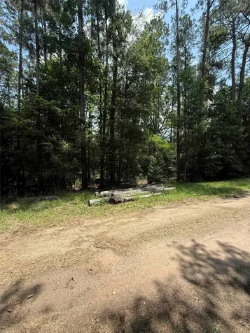 220 W Lake Shore Drive Livingston TX 77351