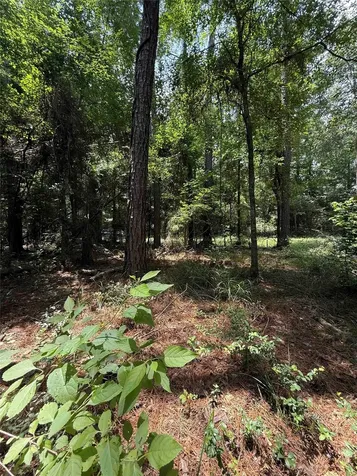 220 W Lake Shore Drive Livingston TX 77351