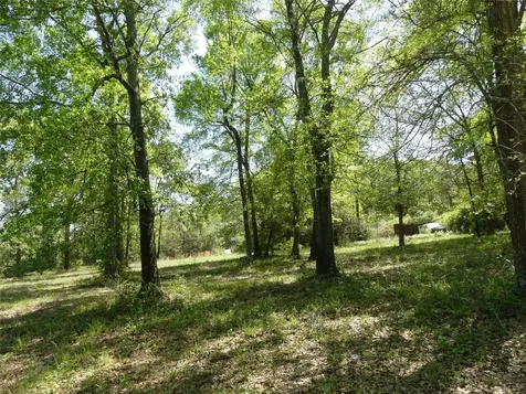 10994 Kittys Lane Conroe TX 77303
