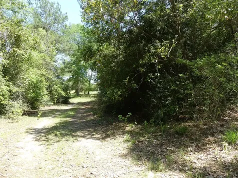 10994 Kittys Lane Conroe TX 77303
