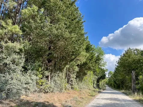2 Cr 4280 Woodville TX 75979