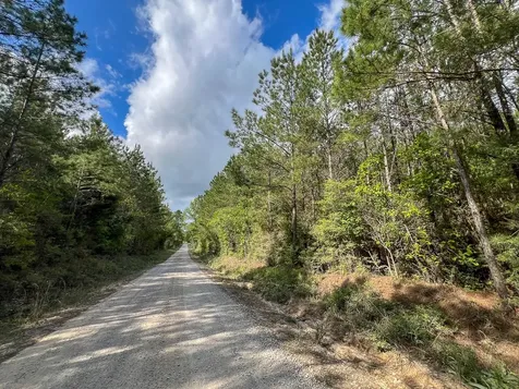2 Cr 4280 Woodville TX 75979