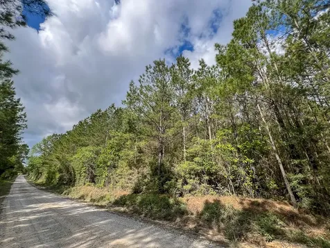 2 Cr 4280 Woodville TX 75979