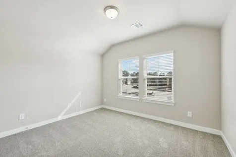 29010 Maggie View Court Waller TX 77484