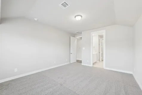 29010 Maggie View Court Waller TX 77484