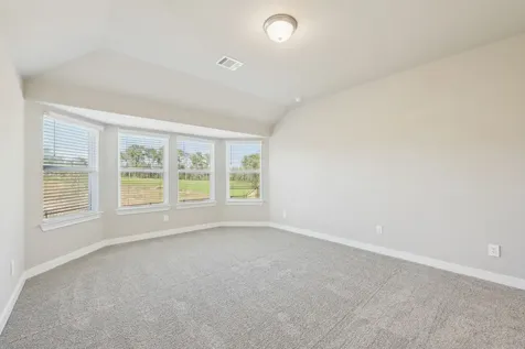 29010 Maggie View Court Waller TX 77484