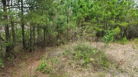 400 County Road 1924 Atlanta TX 75551