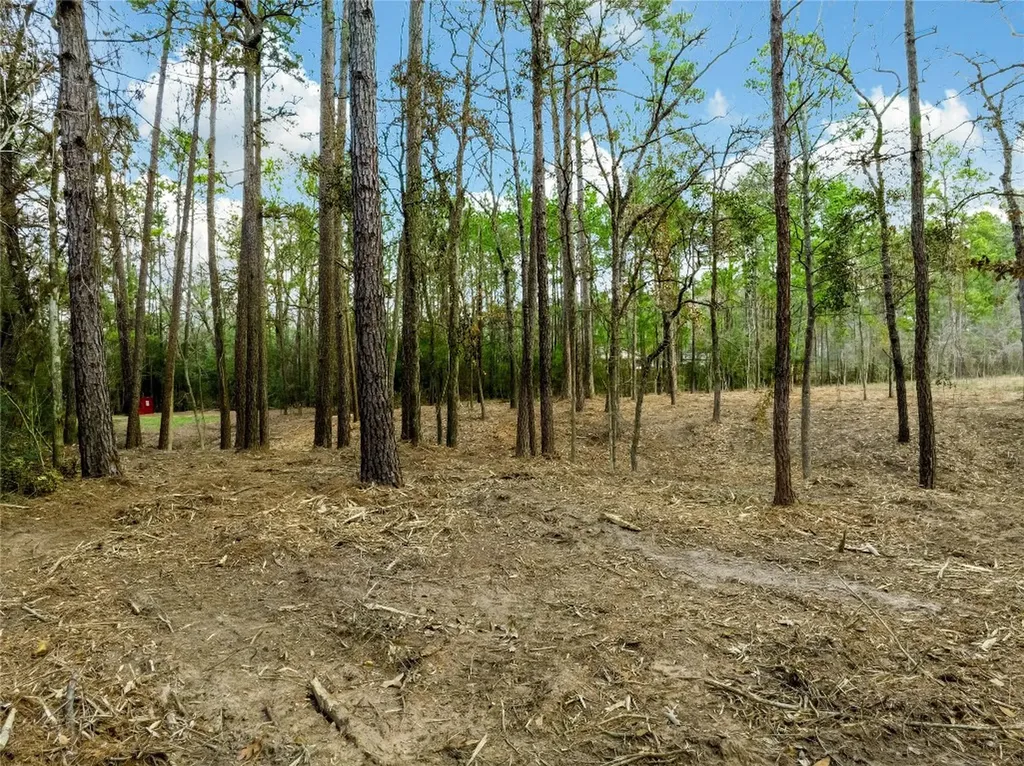 Lot 11 Mayhaw Lane Plantersville TX 77363