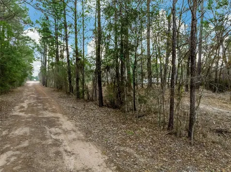 Lot 11 Mayhaw Lane Plantersville TX 77363