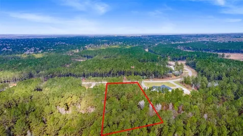 10883 Ruger Road Willis TX 77378