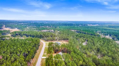 10883 Ruger Road Willis TX 77378