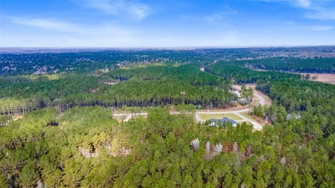 10883 Ruger Road Willis TX 77378