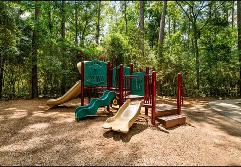 47 W Sage Creek Place The Woodlands TX 77382