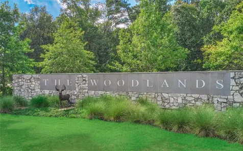 47 W Sage Creek Place The Woodlands TX 77382