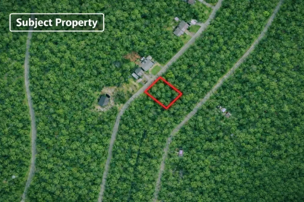 Lot 11 Tonkawa Drive Hilltop Lakes TX 77871