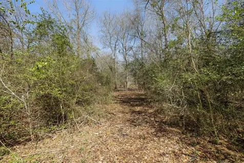 6671 Cotton Street Bedias TX 77831