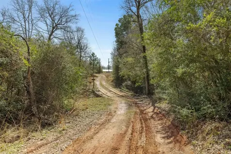 6671 Cotton Street Bedias TX 77831