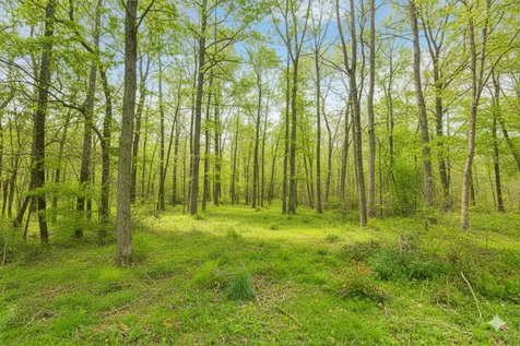 Lot 160 Jaycrest Livingston TX 77351