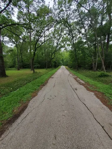 246 Countyroad 3990 Cleveland TX 77328