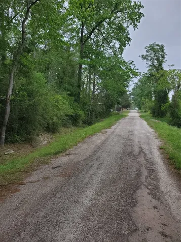246 Countyroad 3990 Cleveland TX 77328