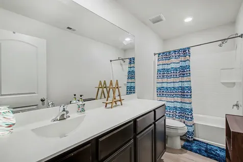 22622 Steel Blue Jaybird Drive Hockley TX 77447