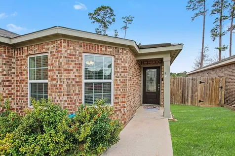 22622 Steel Blue Jaybird Drive Hockley TX 77447