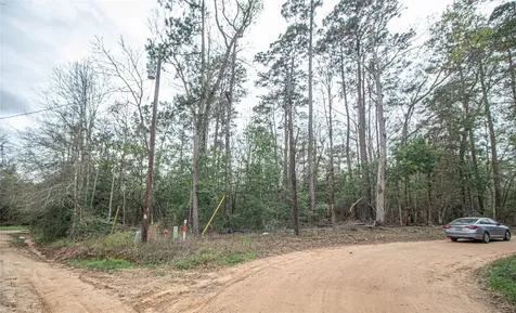 Tbd Gene Autry Trail Livingston TX 77351