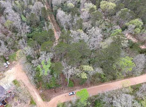 Tbd Gene Autry Trail Livingston TX 77351